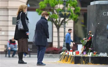 Novi Sad: Mladi par počinio samoubojstvo, prethodno usmrtivši svoja dva sina - mediji