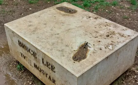 U Mostaru nestao kip Brucea Leeja