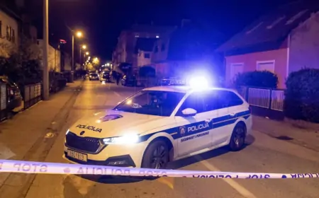 Zapriječio im put, pucao u zrak pa oteo automobil