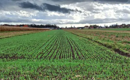 Križevci: Potrebe za agronomima sve veće, interes sve manji
