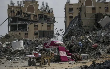 Izraelska vojska ubila najmanje 29 Palestinaca dok su čekali hranu