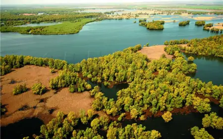 Otvoreni obnovljeni rukavci Drave kod Donje Dubrave, Legrada i Gole