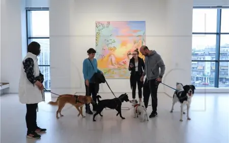 Psi umiruju putnike u istanbulskoj zračnoj luci