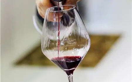 Hrvatska u prvih pet zemalja Europe po svakodnevnoj konzumaciji alkohola