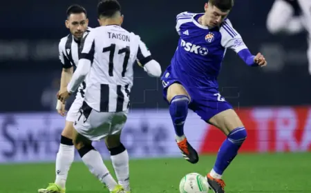 Petar Sučić dobio pravo nastupa za Hrvatsku