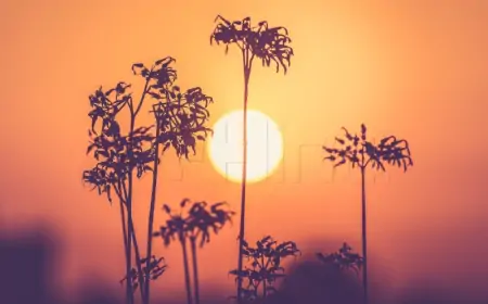 Predani klimatskoj akciji - tema Svjetskog meteorološkog dana, 23. ožujka