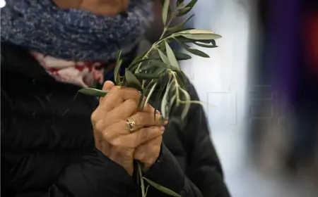 Cvjetnica - Nedjelja Muke Gospodnje