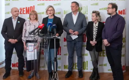 Možemo! i Hoćemo pravedno! zajedno izlaze na izbore u pojedinim izbornim jedinicama