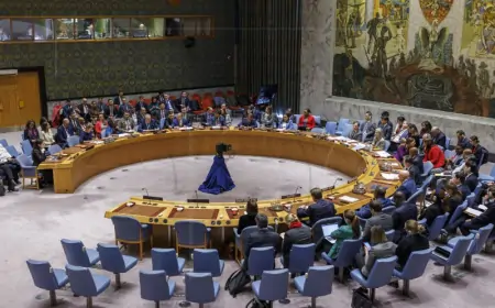 Vijeće sigurnosti UN-a zahtijeva trenutni prekid vatre u Gazi