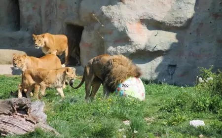Na Uskrsni ponedjeljak u zagrebačkom ZOO-u pisanice za životinje i zabava za djecu
