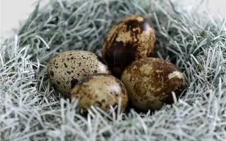 SRETAN USKRS, DRAGI ČITATELJI!