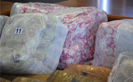 OD KAŠTELANSKOG DILERA ZAPLIJENJENO PREKO 32 KILOGRAMA MARIHUANE