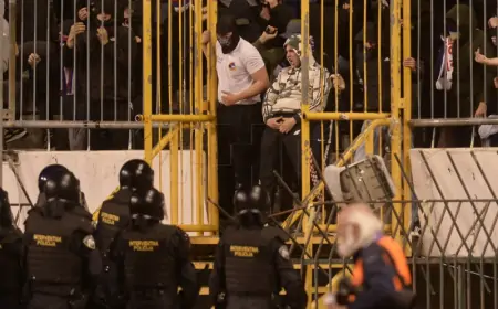 JEDNOMJESEČNI ZATVOR ZA 13 NAVIJAČA