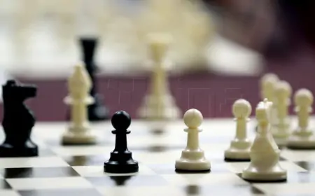 ŠAHOVSKI TURNIR "DAMIN GAMBIT NA HRVATSKI NAČIN" ZA OPREMANJE DJEČJIH ODJELA