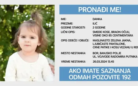 BRAT OSUMNJIČENOG ZA UBOJSTVO DANKE ILIĆ UMRO U POLICIJSKOJ POSTAJI