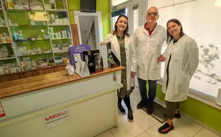OPĆINA VIR PIONIRSKI PROVODI PROJEKT FINANCIRANJA TROŠKOVA KASTRACIJE I STERILIZACIJE PASA I MAČAKA NA OTOKU VIRU
