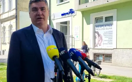 MILANOVIĆ: PLENKOVIĆ SVOJIM POLURASISTIČKIM ISPADIMA DIJELI HRVATSKU