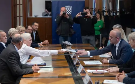 UMIROVLJENICI PREDALI LISTE DIP-u ZA EU IZBORE