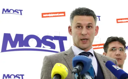 PETROV: MOST NEĆE PUKNUTI ZBOG ODLASKA BRAČNOG PARA RASPUDIĆ