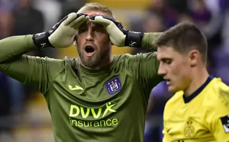 POTRESNE SCENE U BELGIJI! HITNA POMOĆ SPAŠAVALA ŽIVOT NA STADIONU