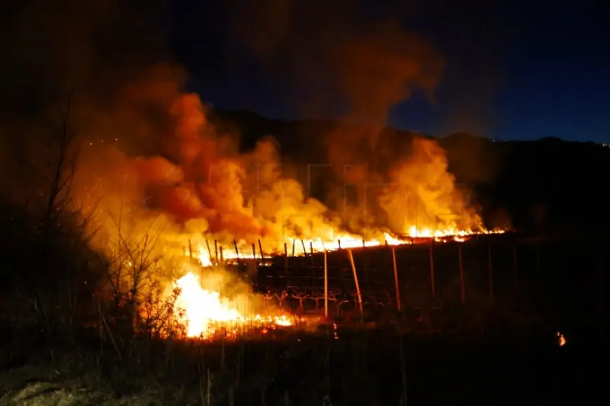 U OKOLICI BJELOVARA IZGORJELA PILANA, ŠTETA 150.000 EURA