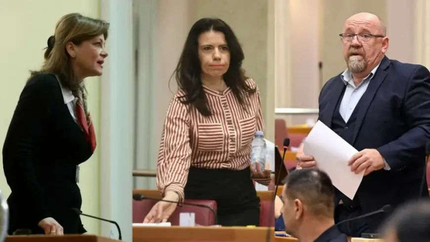 NJIH VIŠE NEĆEMO GLEDATI U SABORU