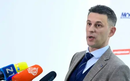 MOST TRAŽI REFERENDUM O ZASTUPNICIMA NACIONALNIH MANJINA