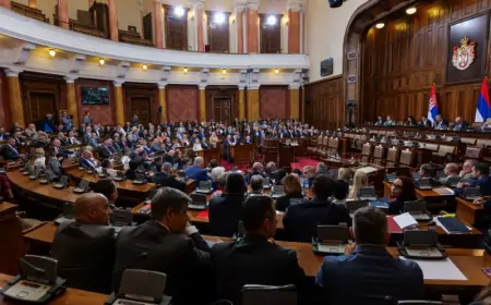 PRISEGNULA NOVA SRBIJANSKA VLADA