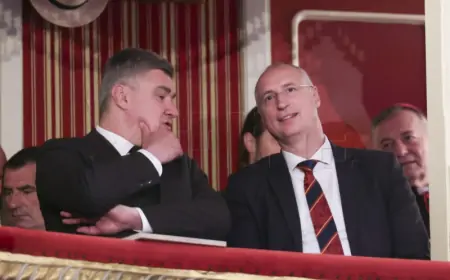 PULJAK: DOMOVINSKI POKRET JE ODLUČIO SPAŠAVATI HDZ, A NE HRVATSKU