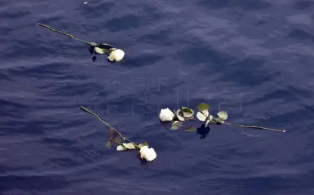 DUBROVNIK: PRIJE 32 GODINE U LUCI GRUŽ POTONULA "AURORA"