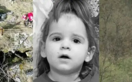 "DJETETU PRILIKOM UDARCA KRENE KRV, A MI NEMAMO DNK": STRUČNJACI O SLUČAJU UBIJENE DANKE