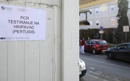 U FEDERACIJI BiH EPIDEMIJA OSPICA I HRIPAVCA