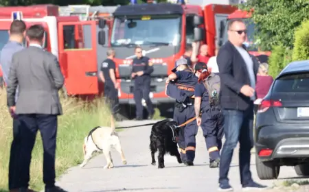 JEDNA OSOBA POGINULA U PADU ZRAKOPLOVA JUŽNO OD KERESTINCA