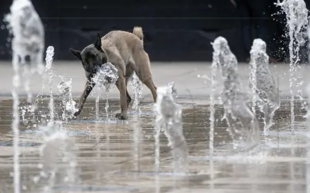 DESECI SMRTNIH SLUČAJEVA ZBOG EKSTREMNIH VRUĆINA U MEKSIKU