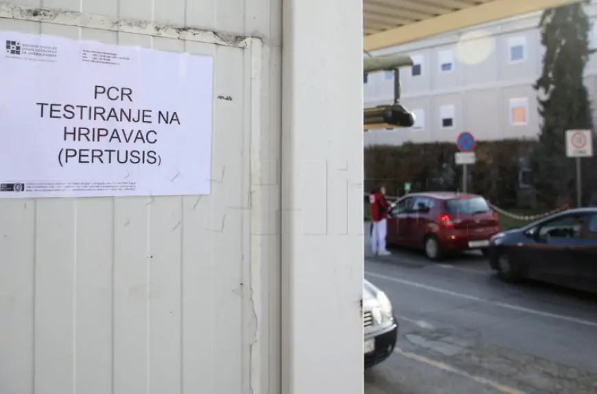 U FEDERACIJI BiH EPIDEMIJA OSPICA I HRIPAVCA