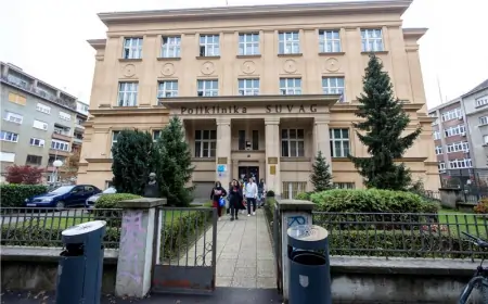 OKO 80 TISUĆA HRVATA ŽIVI S POSLJEDICIMA MOŽDANOG UDARA, UKLJUČUJUĆO AFAZIJU