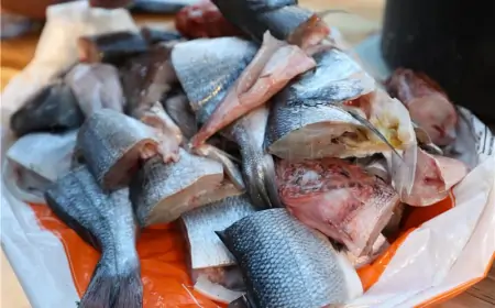 NA VALAMAROVIM JELOVNICIMA VIŠE NEMA UGROŽENIH VRSTA