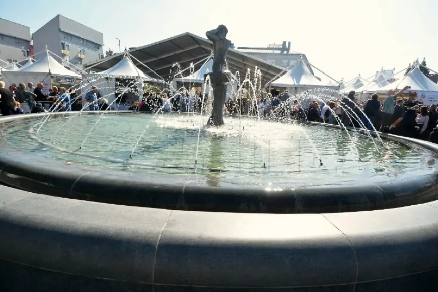 BIRAČI U GOSPIĆU, RAŠI, RABU I OTOKU U NEDJELJU BIRAJU I LOKALNU VLAST