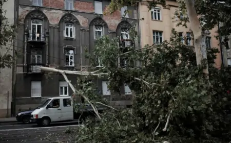 KROZ ZAGREB I OKOLICU 'PROHUJALO' NEVRIJEME: VATROGASCI UKLANJAJU PORUŠENA STABLA