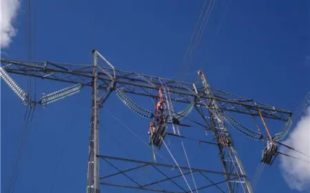 HOPS IZVIJESTIO DA RUŠIMO REKORDE O POTROŠNJI STRUJE