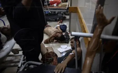 NAJMANJE 17 PALESTINACA UBIJENO JE U IZRAELSKIM NAPADIMA TIJEKOM NOĆI