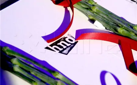 HND ZATRAŽIO OD VLASTI DA OŠTRO REAGIRAJU NA NAPAD NA NOVINARKU VRSALJKO