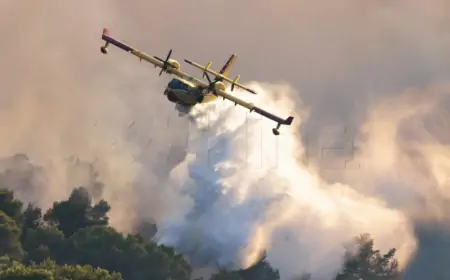 POŽAR SE PROŠIRIO  NA PROSTOR VOJARNE U ZEMUNIKU