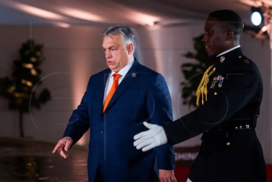 ORBAN: I TRUMP I FICO NAPADNUTI ZBOG PROTIVLJENJU RATU