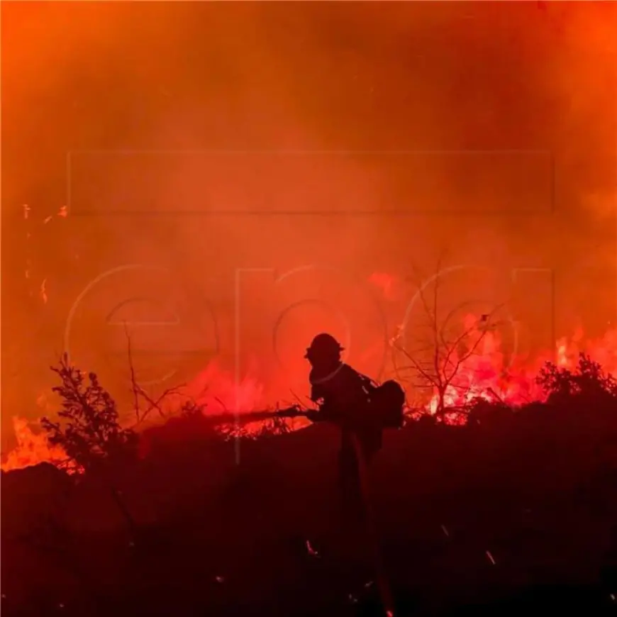 TISUĆE EVAKUIRANIH NA SJEVERU KALIFORNIJE ZBOG NAJVEĆEG OVOSEZONSKOG ŠUMSKOG POŽARA