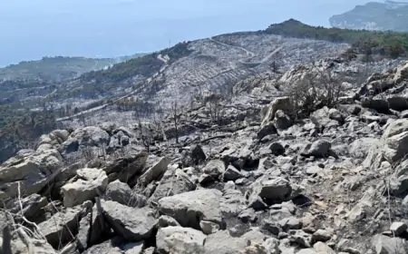 POGLEDAJTE KAKO BIOKOVO IZGLEDA NAKON POŽARA
