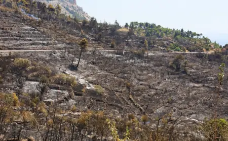 HVZ: LOKALIZIRAN POŽAR KOD SKRADINA, NASTAVLJA SE BITKA S POŽARIMA U DALMACIJI