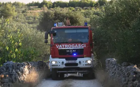 POŽAR NA HVARU GASI 35 VATROGASACA