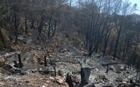 UDAR GROMA IZAZVAO POŽAR KOD SPLITA