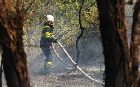 POŽAR KOD SOLINA LOKALIZIRAN